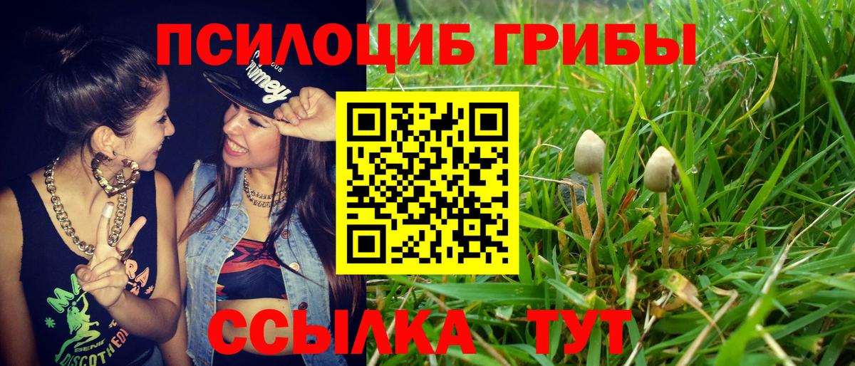 Галлюциногенные грибы MAGIC MUSHROOMS  Вход с VPN  Оренбург 
