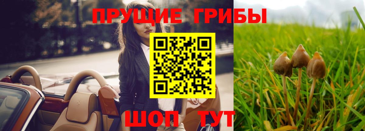 Галлюциногенные грибы ЛСД Оренбург